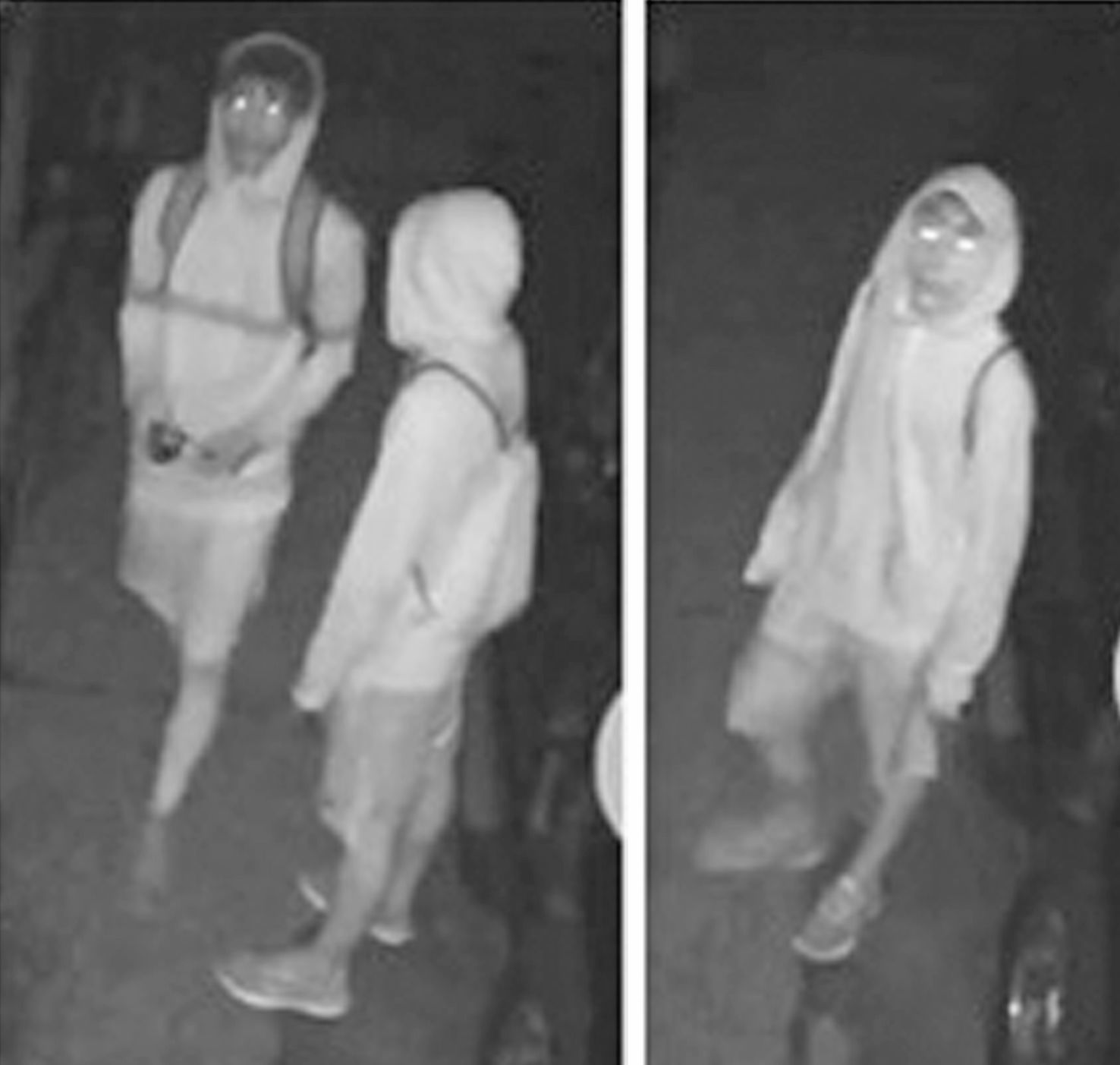 Faribault police need help to ID burglary suspects